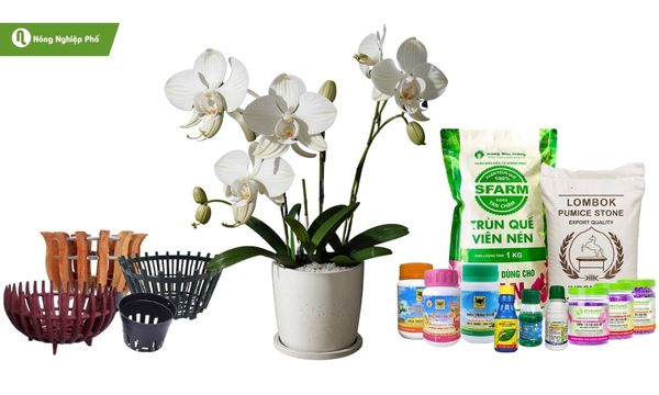 Các vật tư trồng lan có tại Nông Nghiệp Phố