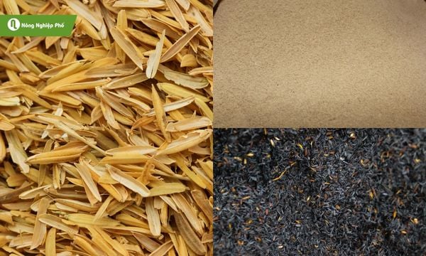 Các loại trấu có trên thị trường