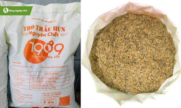 Nông Nghiệp Phố - Địa chỉ cung cấp vỏ trấu sỉ chất lượng cao