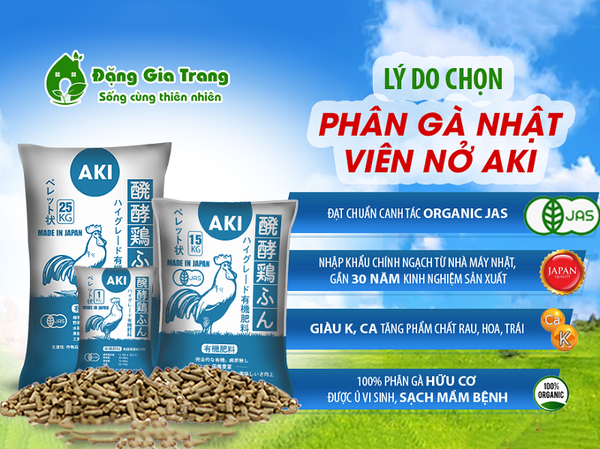 phan-ga-nhat-ban-aki