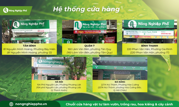 Hệ thống cửa hàng Nông Nghiệp Phố