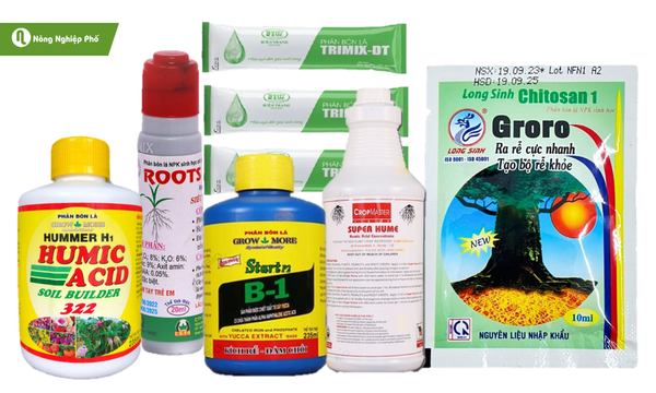 Bổ sung một số chất dinh dưỡng để cây phục hồi sau bệnh