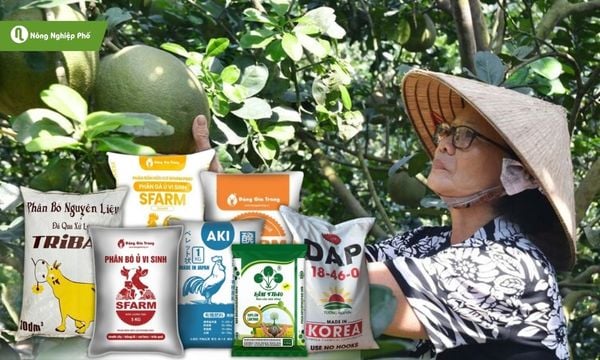 Các loại phân bón có tại Nông Nghiệp Phố