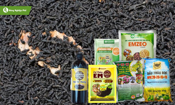 Kết hợp phân dơi với phân bón NPK và các chế phẩm vi sinh