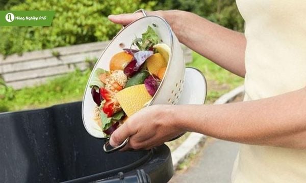 cách diệt dòi trong thùng rác