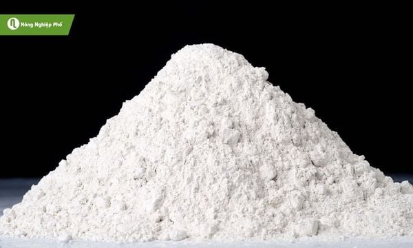 cách diệt ốc sên bằng vôi bột