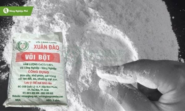 cách diệt ốc sên bằng vôi bột