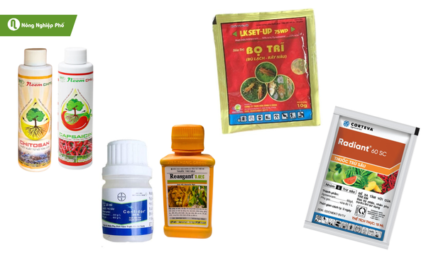 Luân phiên các hoạt chất khác nhau để tránh trường hợp bọ trĩ kháng thuốc