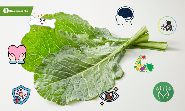 Các lợi ích nổi bật của cải rổ