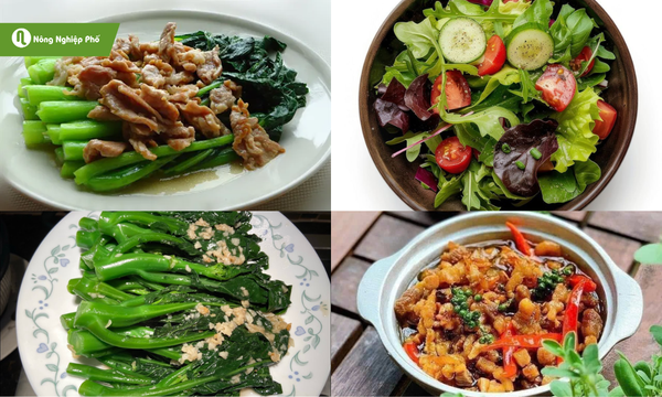 Các món ăn được chế biến đa dạng từ cải rổ