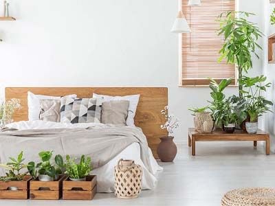 cay-nha-oxy-vao-ban-dem-cay-bo-de-bedroom-with-plants