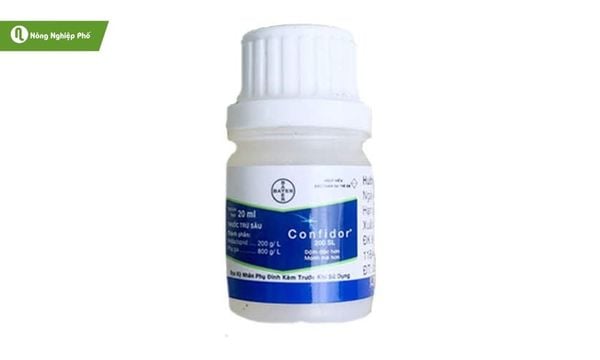 Phối hợp Confidor để tăng hiệu quả diệt rầy.