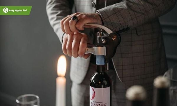 Dùng rượu vang làm mối, ruồi vàng dễ dàng vào bẫy.