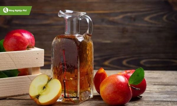 Giấm táo có mùi chua nhẹ, ruồi vàng rất dễ bị thu hút.