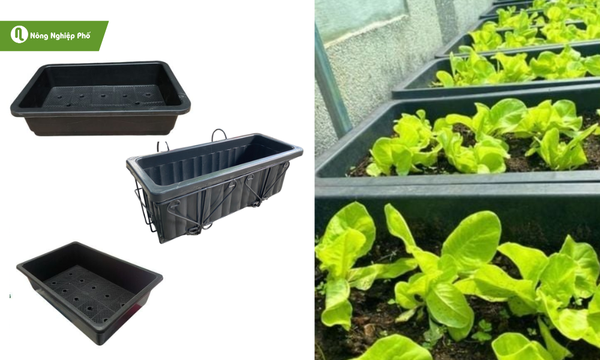 Chậu nhựa đen trồng rau củ với lỗ thoát nước thông minh, chống ngập úng