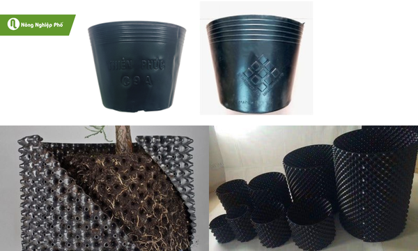Túi bầu ươm cây bền bỉ, thân thiện với cây trồng