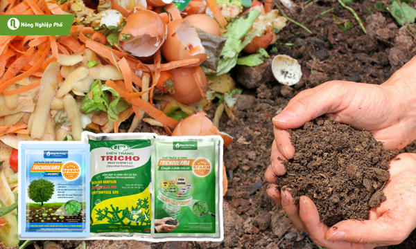 Trichoderma được dùng để ủ rác hữu cơ, đồng thời cải tạo độ phì nhiêu cho đất