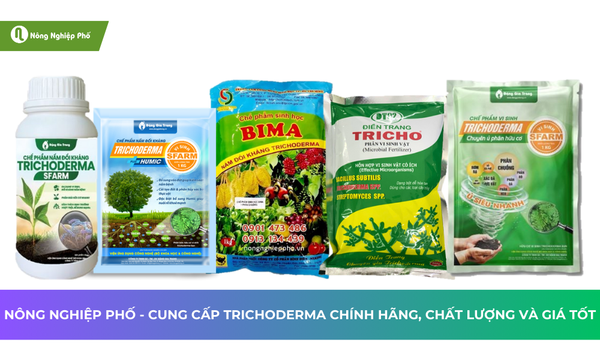 Các loại sản phẩm Trichoderma hiện có tại Nông Nghiệp Phố