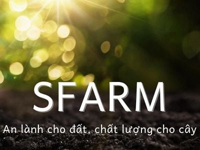 date-sach-sfarm
