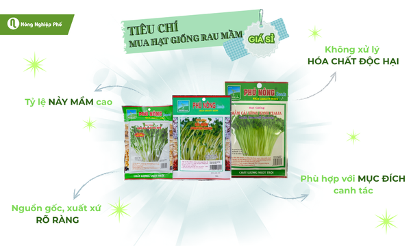 Tiêu chí chọn hạt giống rau mầm chất lượng