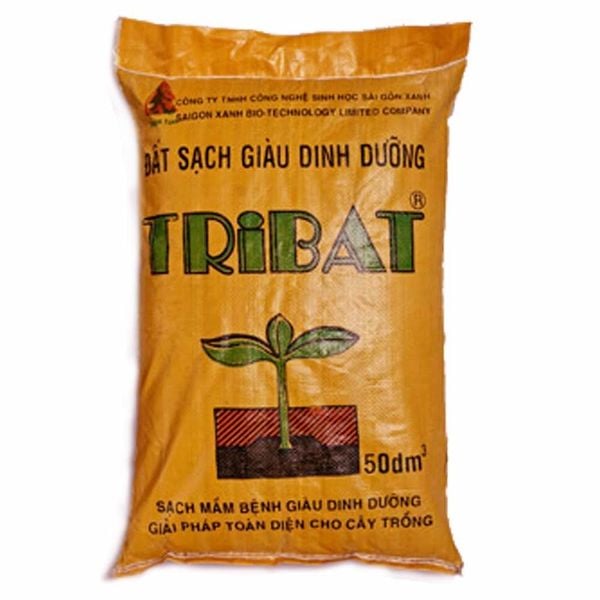 huong-dan-trong-rau-bang-dat-sach-tribat-hieu-qua-nhat