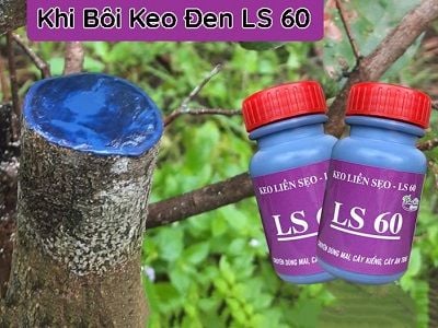 keo-lien-seo-ls60