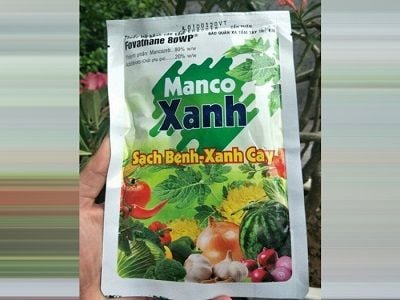 manco-xanh