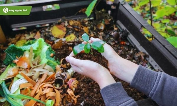 men vi sinh ủ rác nhà bếp