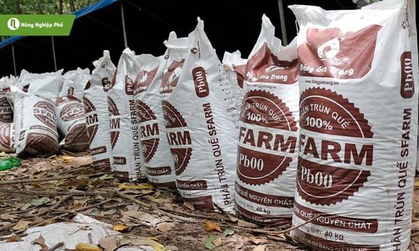 Phân hữu cơ phù hợp với cây trồng, thân thiện với môi trường