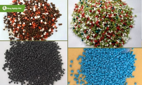 Phân vô cơ cung cấp các khoáng chất cần thiết cho cây