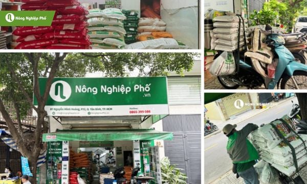 Cửa hàng Nông Nghiệp Phố - Lựa chọn uy tín cho bà con nông dân