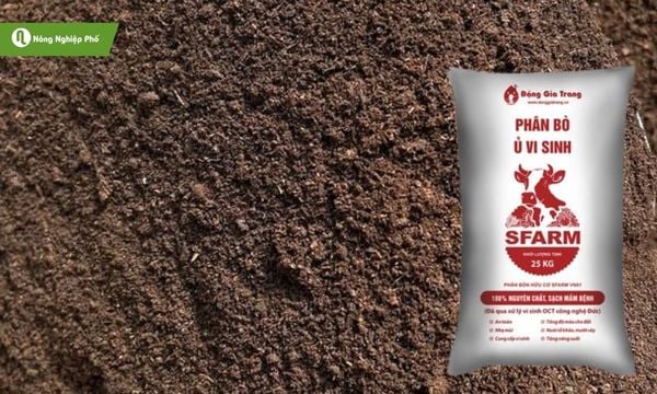 Chất lượng phân bò khô sạch mầm bệnh của thương hiệu SFARM