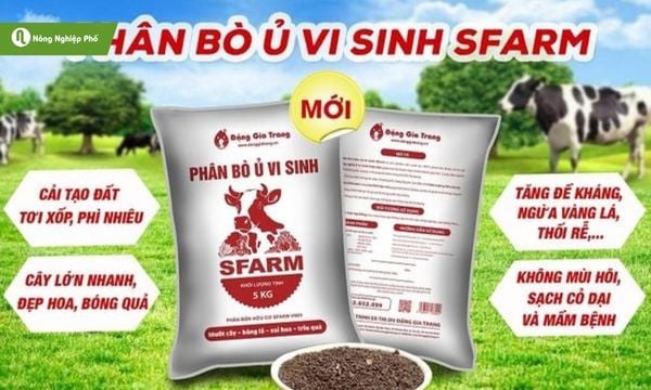 Những lợi ích mà phân bò mang lại
