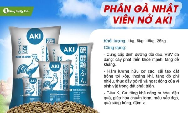 Phân gà là kho dinh dưỡng tự nhiên cho cây trồng