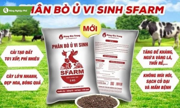 Phân bò có hàm lượng hữu cơ cao