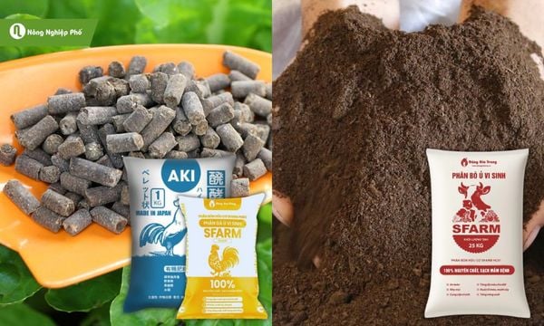 Phân gà và phân bò đều có những lợi ích khác nhau