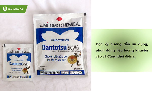 Biện pháp hóa học phòng ngừa ruồi đục hại cam