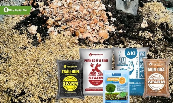 Cách khắc phục và phòng chống su hào bị nứt củ