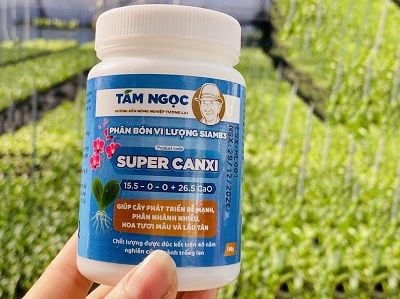 super-canxi-tam-ngoc