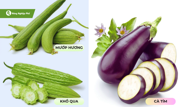 tháng 7 trồng rau gì