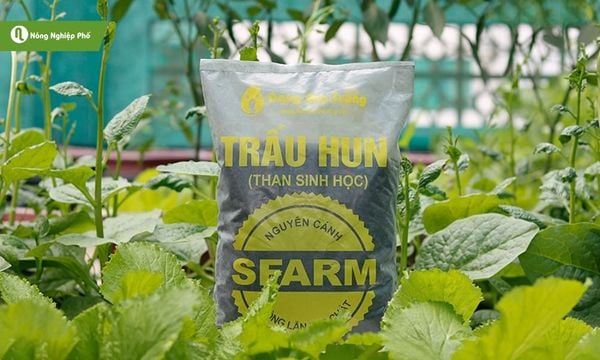 Các thành phần dinh dưỡng có trong trấu hun