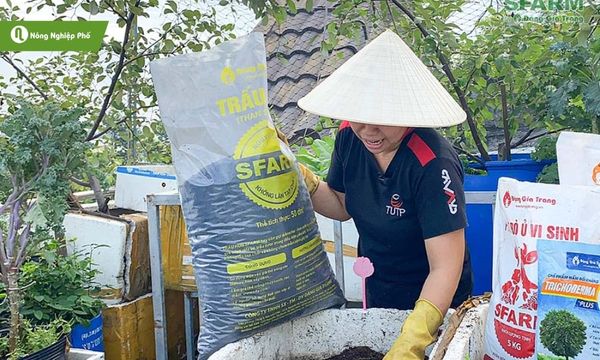Trấu hun mang lại nhiều công dụng trong trồng trọt