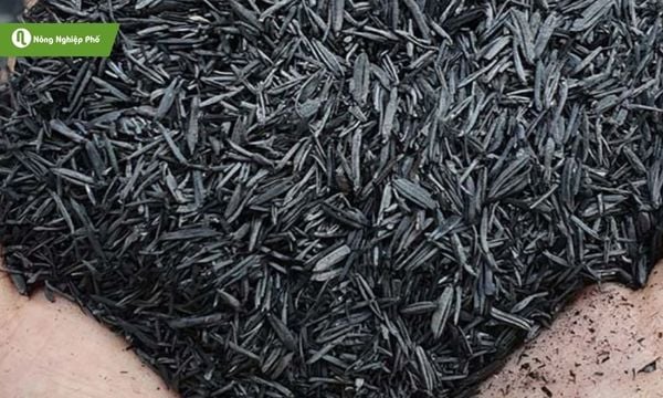 Trấu hun cũng có những ưu và nhược điểm riêng