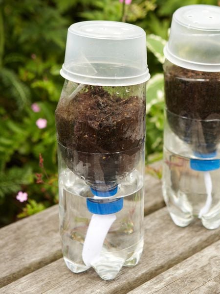 20 ý tưởng làm vườn rau quả tại nhà bằng chai nhựa (phần 2) - Nông Nghiệp Phố