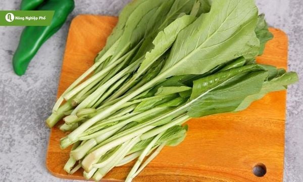 Cải ngọt dễ trồng, ít tốn công chăm sóc