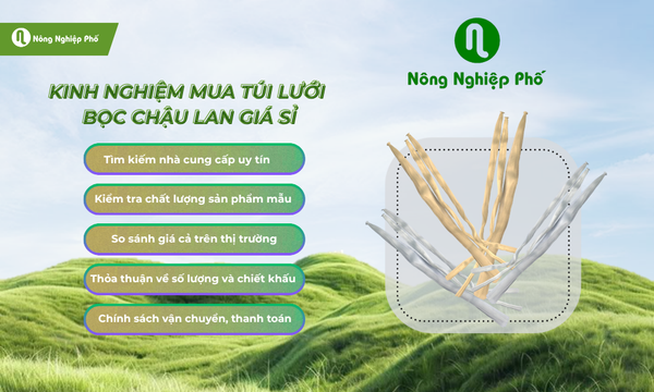 Một số điều cần lưu ý khi chọn mua túi lưới bọc chậu lan