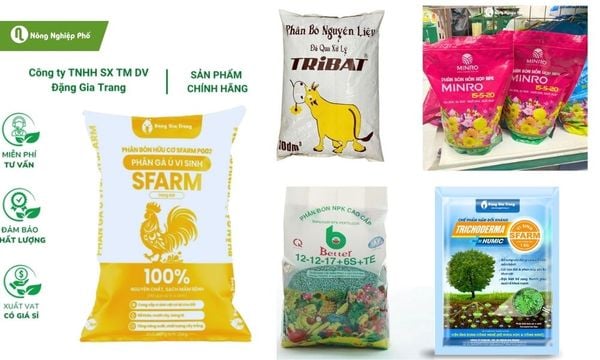 Một số phân bón phù hợp cho từng giai đoạn sinh trưởng của cây xoài