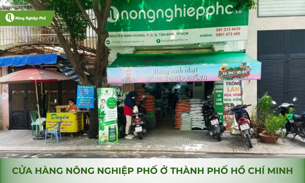 Cửa hàng Nông Nghiệp Phố - địa chỉ mua viên nén xơ dừa giá sỉ tại chi nhánh Quận Tân Bình