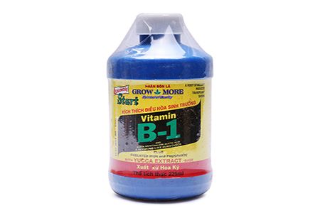 Vitamin-b1-co-that-su-tot-cho-lan