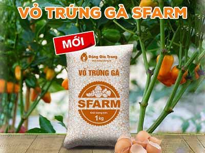 vo-trung-ga-sfarm-co-tot-khong